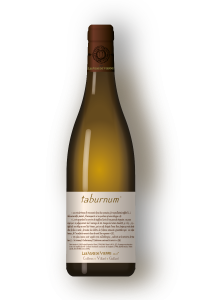 Les Vins de Vienne